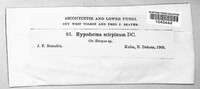 Image Associated With the Occurence
